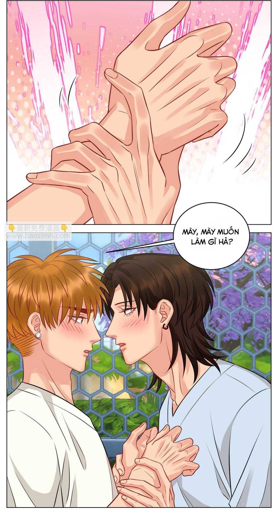 Ký Túc Xá Nam Phòng 303: Chapter 232