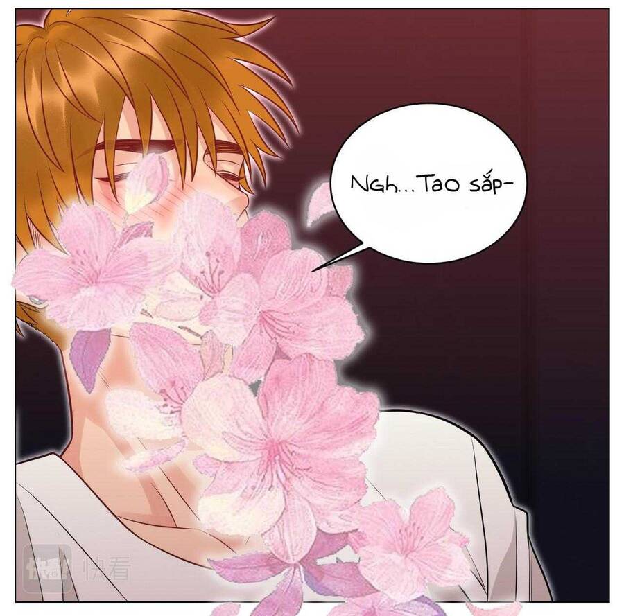 Ký Túc Xá Nam Phòng 303: Chapter 232