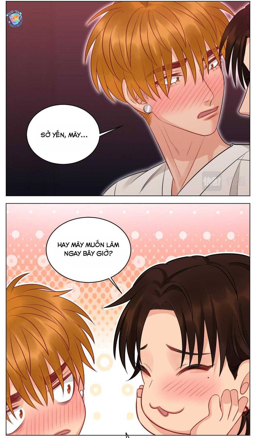 Ký Túc Xá Nam Phòng 303: Chapter 233