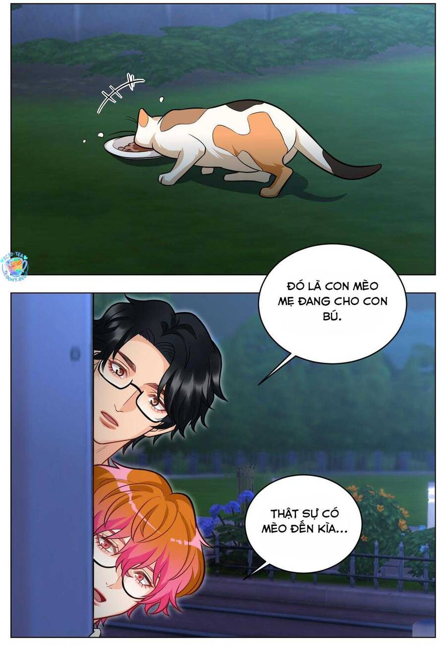 Ký Túc Xá Nam Phòng 303: Chapter 237