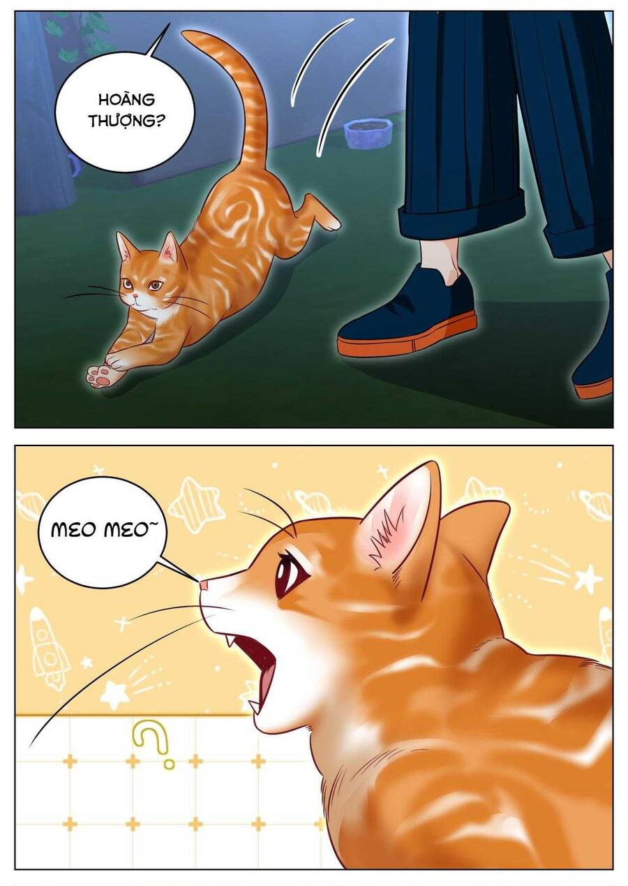 Ký Túc Xá Nam Phòng 303: Chapter 238