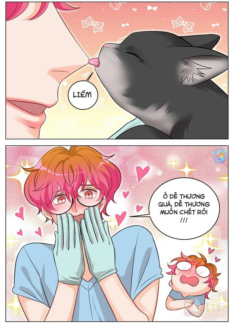 Ký Túc Xá Nam Phòng 303: Chapter 239