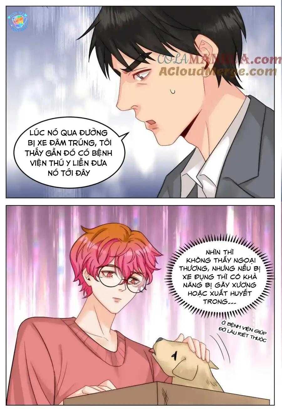 Ký Túc Xá Nam Phòng 303: Chapter 245