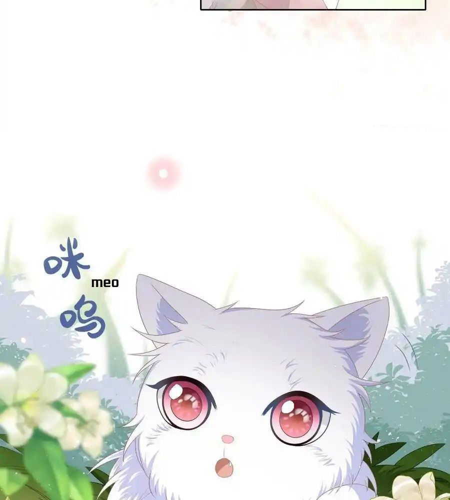 Làm Ảnh Hậu Không Bằng Học Thanh Hoa: Chapter 12