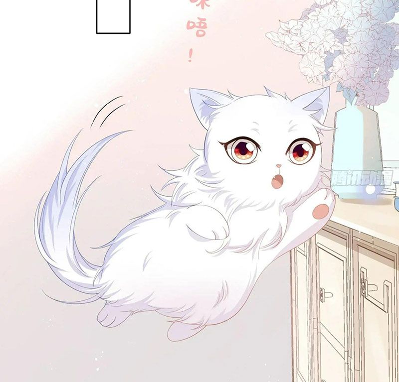 Làm Ảnh Hậu Không Bằng Học Thanh Hoa: Chapter 13