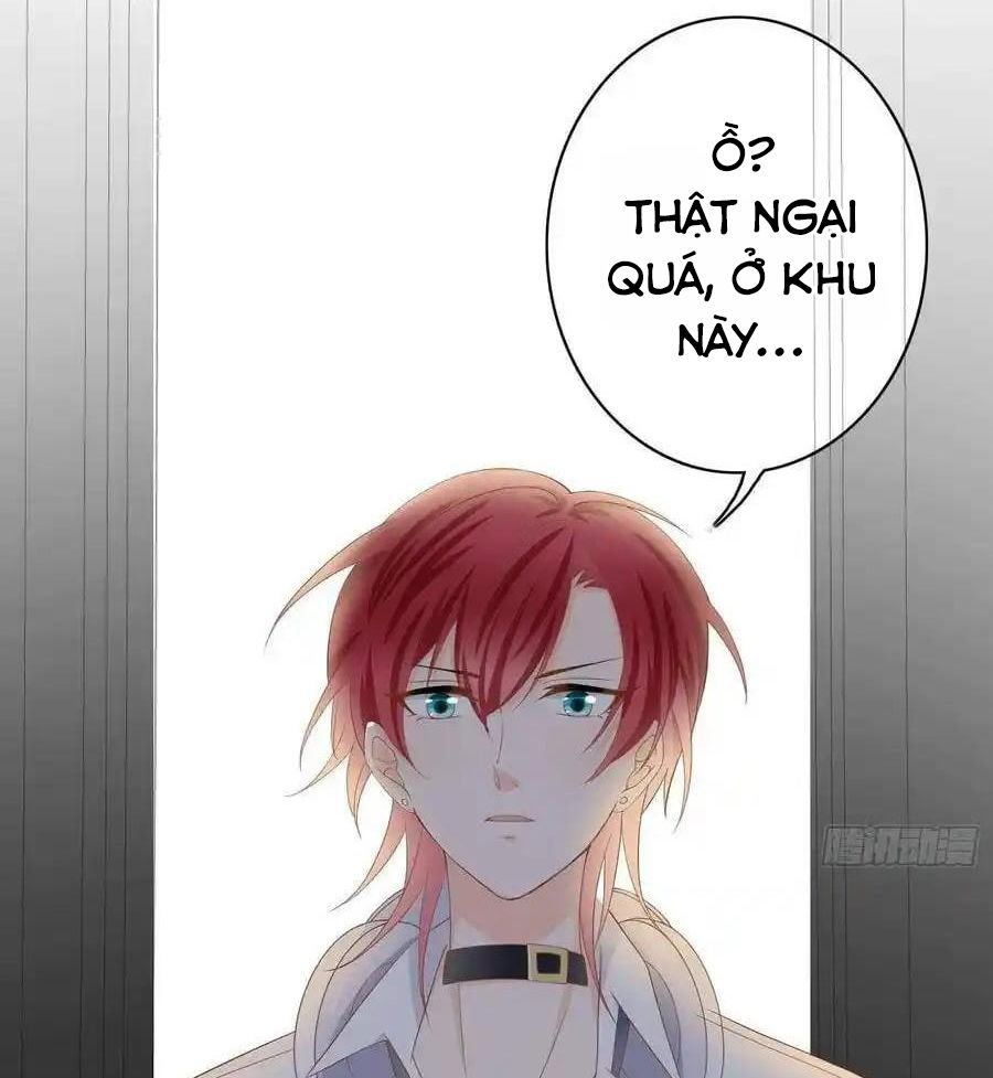 Làm Ảnh Hậu Không Bằng Học Thanh Hoa: Chapter 4