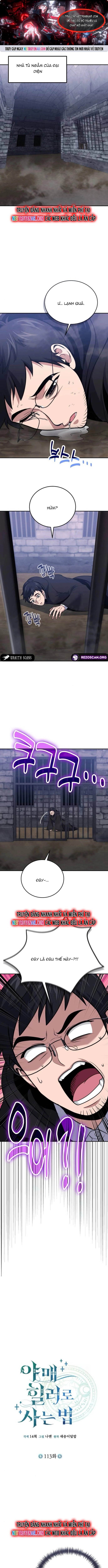 Làm Sao Sống Như Một Trị Liệu Sư Ngầm?: Chapter 113