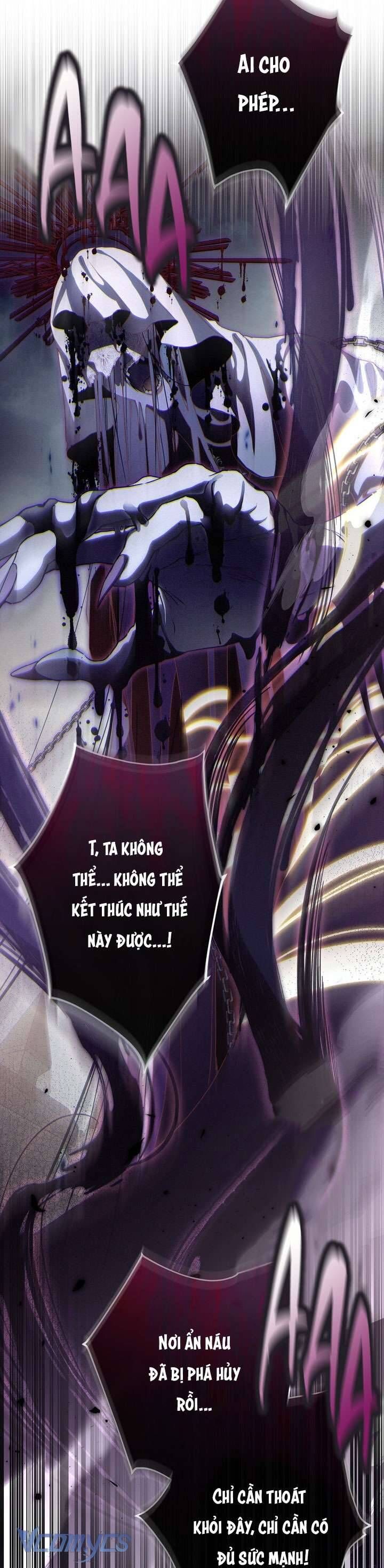 Lần Nữa Toả Sáng: Chapter 113