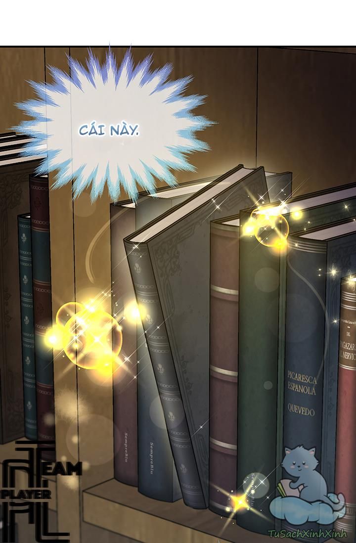 Lần Nữa Toả Sáng: Chapter 12.5