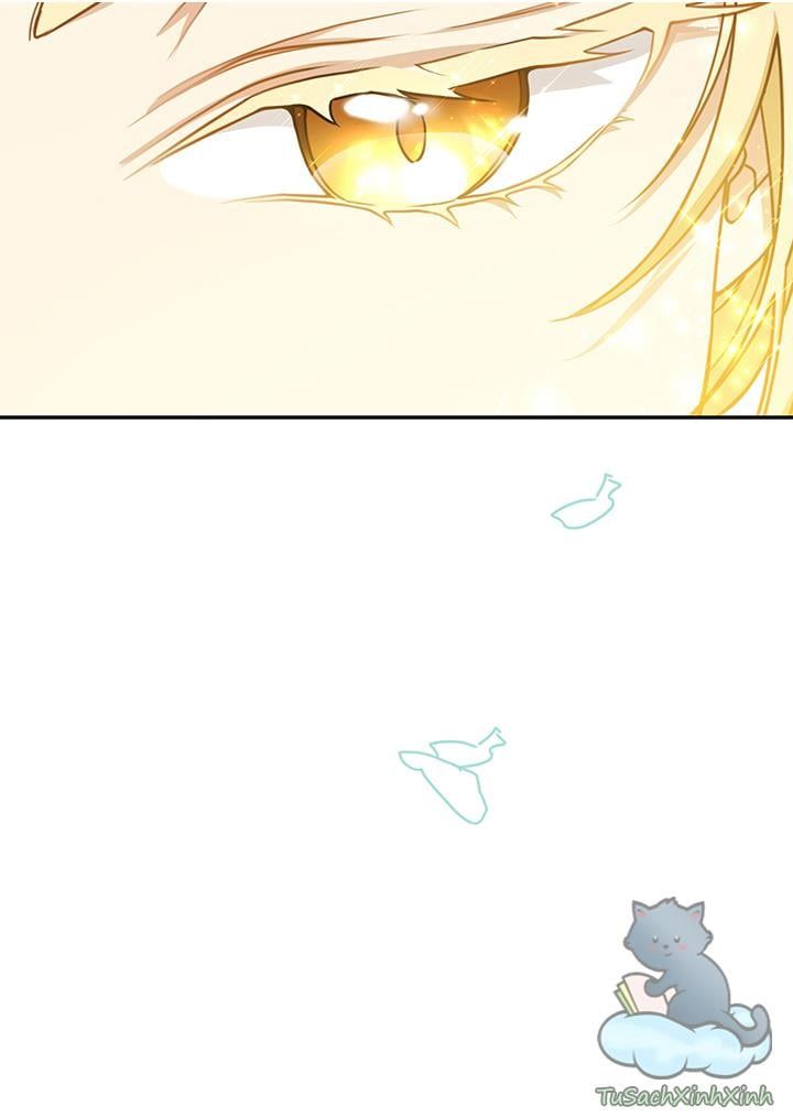 Lần Nữa Toả Sáng: Chapter 13.5