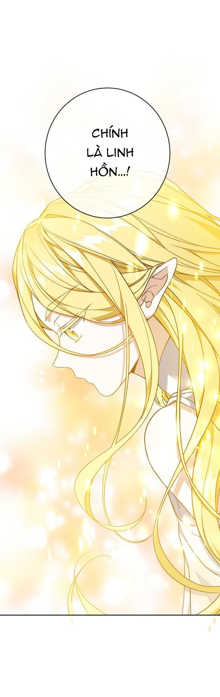 Lần Nữa Toả Sáng: Chapter 35.1