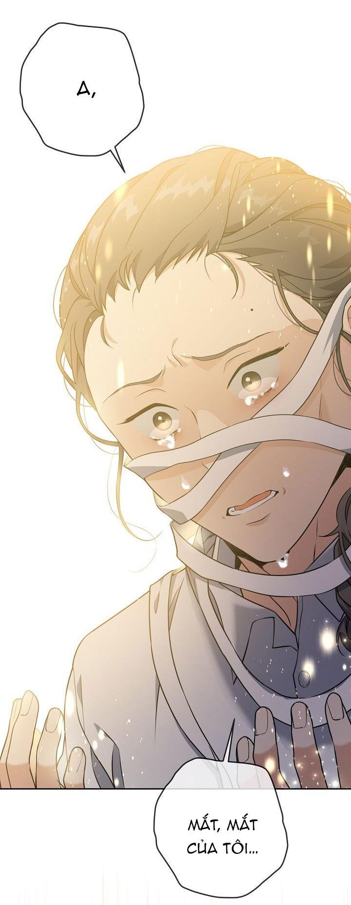 Lần Nữa Toả Sáng: Chapter 35.2