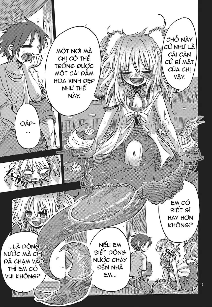 Lẵng Hoa Của Nàng Tiên Cá: Chapter 1