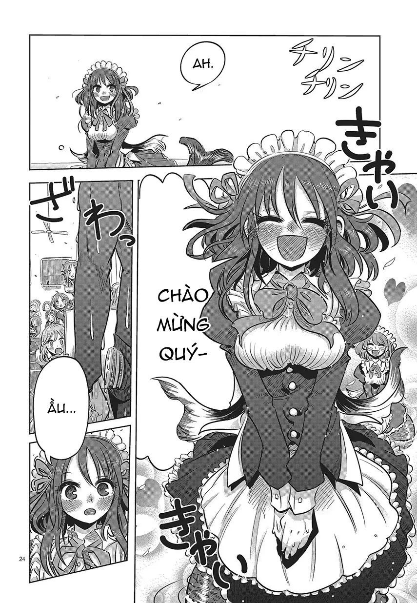 Lẵng Hoa Của Nàng Tiên Cá: Chapter 1