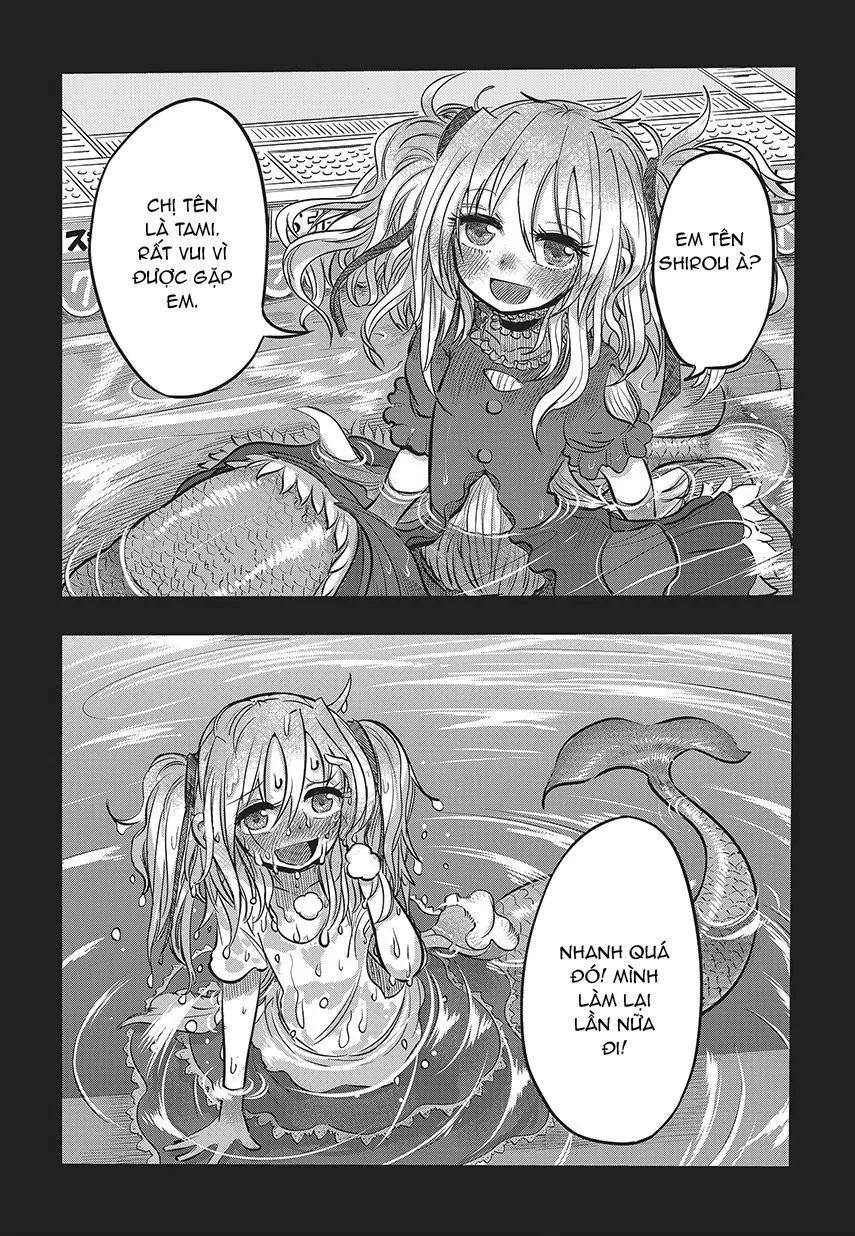 Lẵng Hoa Của Nàng Tiên Cá: Chapter 1