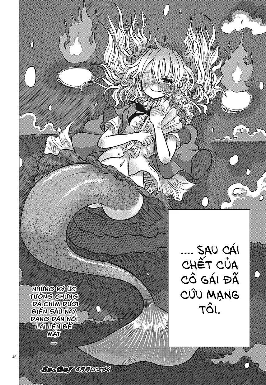 Lẵng Hoa Của Nàng Tiên Cá: Chapter 1