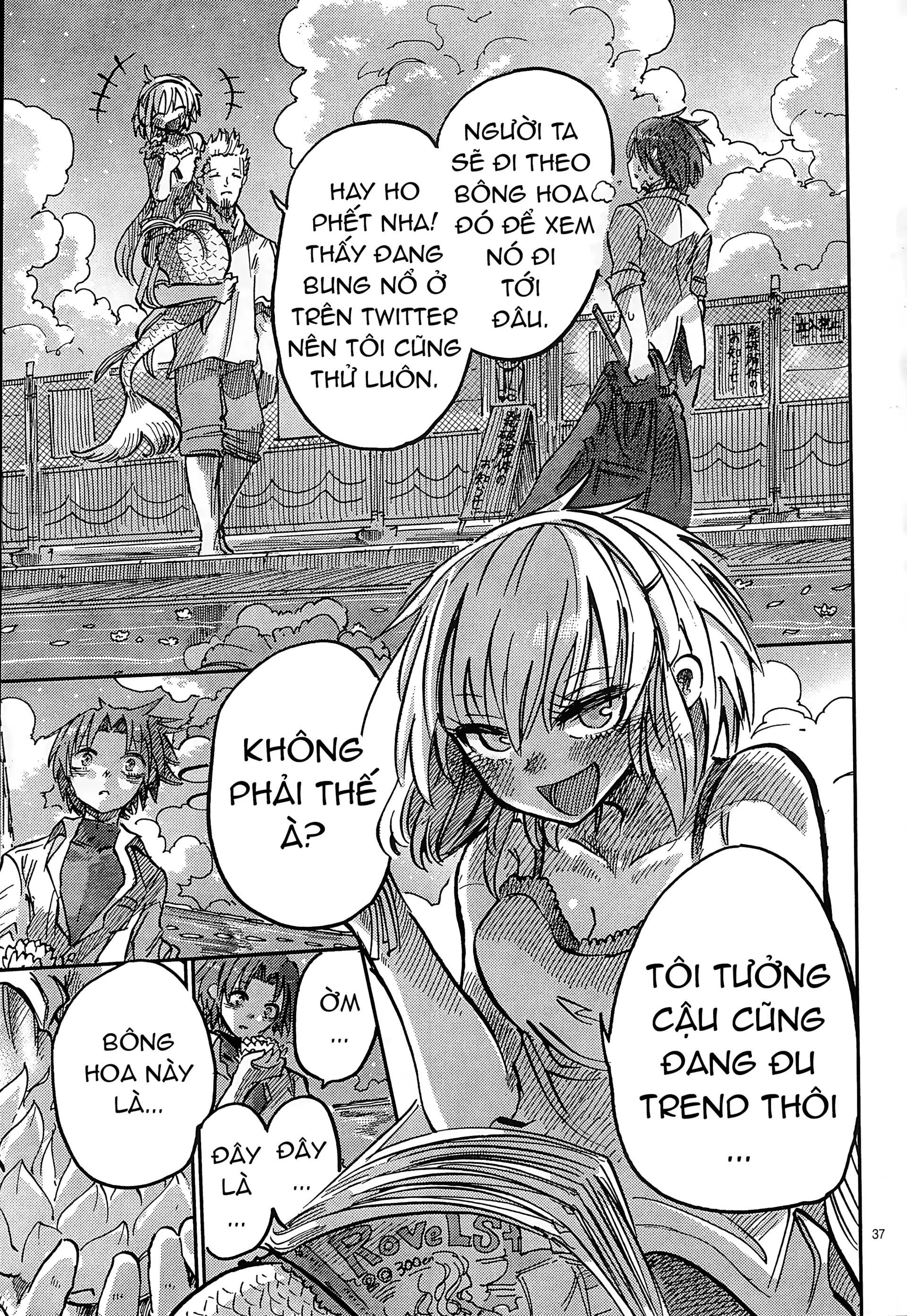 Lẵng Hoa Của Nàng Tiên Cá: Chapter 2