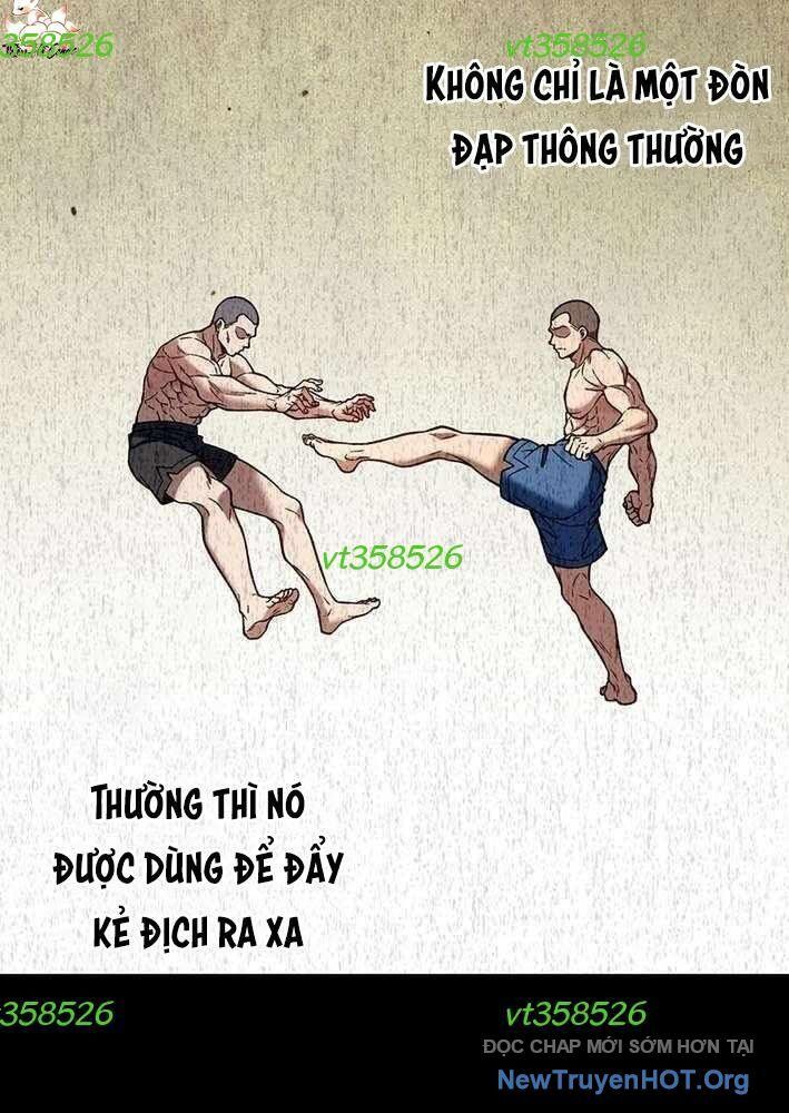 Lão Đại Trung Niên Không Danh: Chapter 8