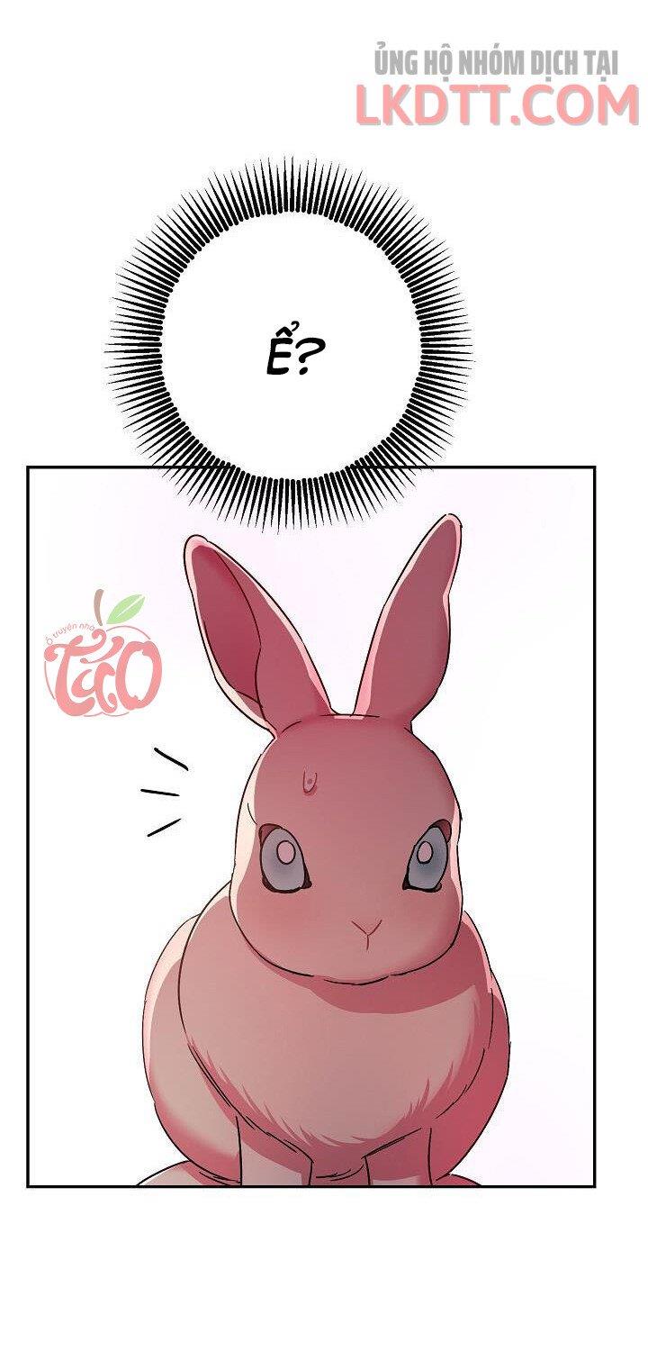 Liều Thuốc An Thần Của Bạo Chúa: Chapter 23.1