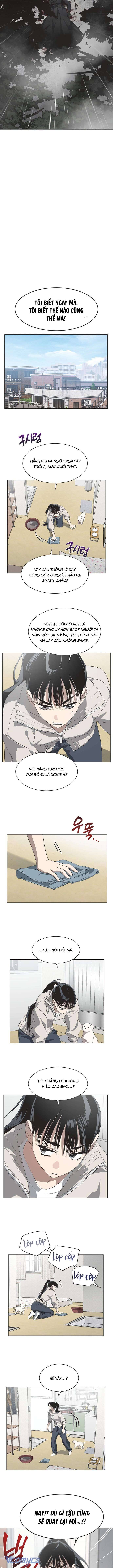 Lọ Lem Không Hoàn Hảo: Chapter 84