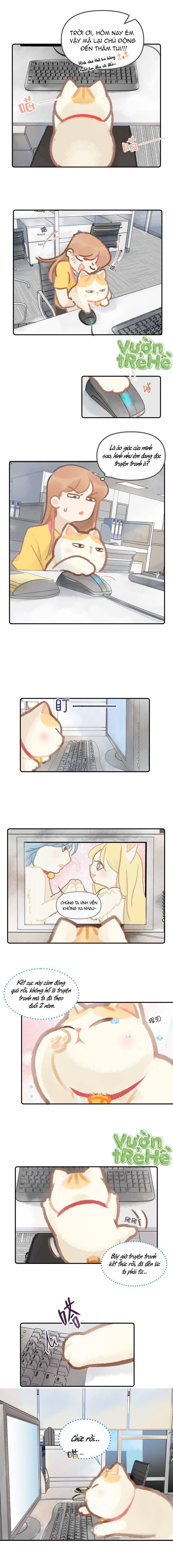 Lục Lạc Mèo: Chapter 3