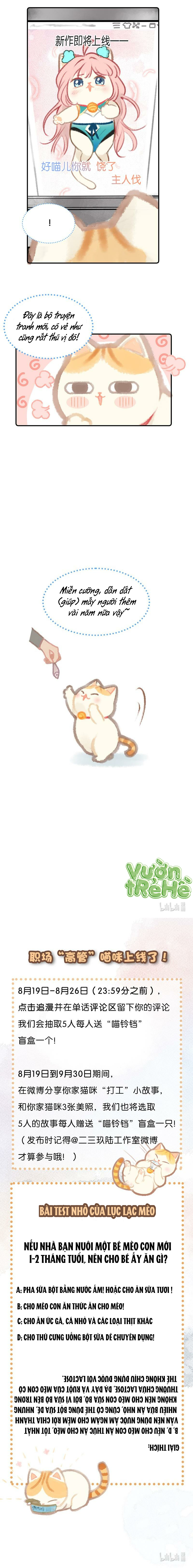 Lục Lạc Mèo: Chapter 3