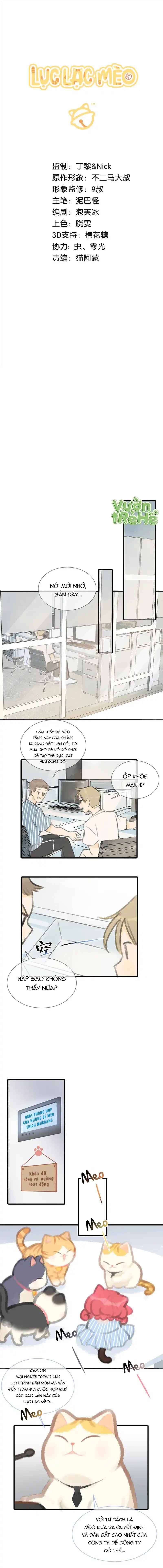 Lục Lạc Mèo: Chapter 5