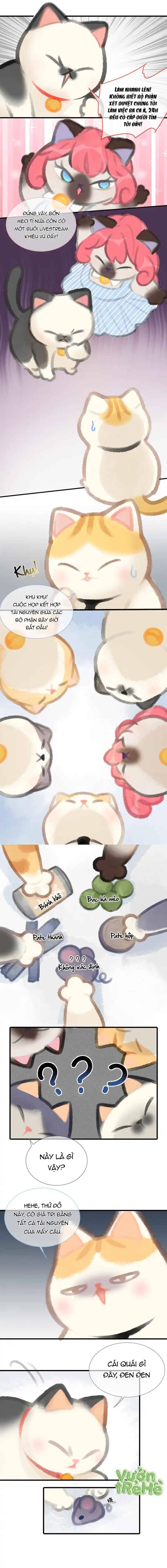 Lục Lạc Mèo: Chapter 5