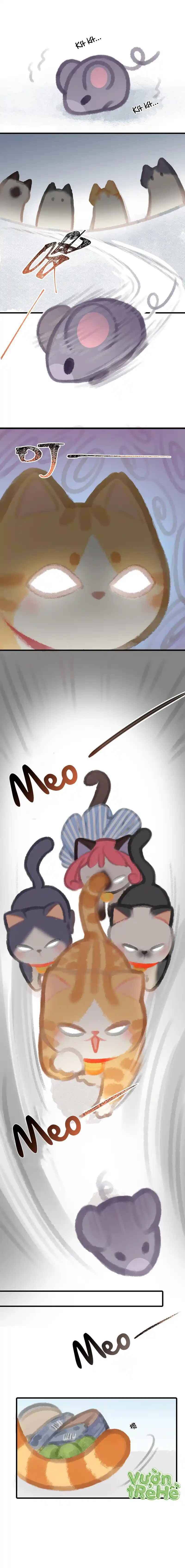 Lục Lạc Mèo: Chapter 5