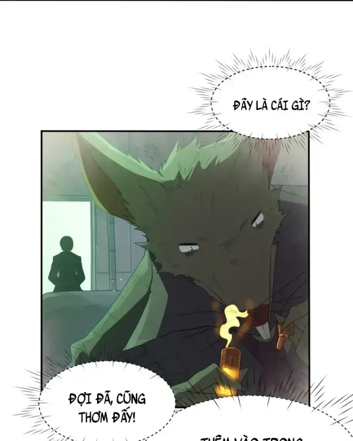 Luyện Kim Thuật Sĩ Tà Ác Không Trị Nổi Thể Thí Nghiệm Của Mình: Chapter 1