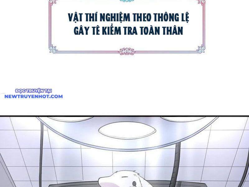 Luyện Kim Thuật Sĩ Tà Ác Không Trị Nổi Thể Thí Nghiệm Của Mình: Chapter 16