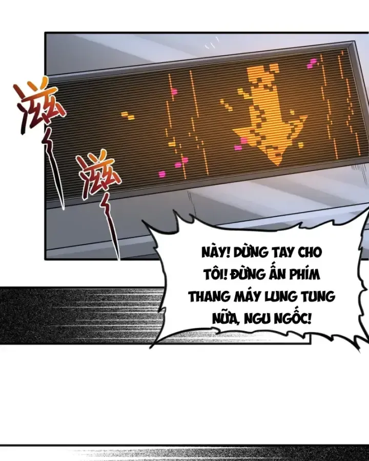 Luyện Kim Thuật Sĩ Tà Ác Không Trị Nổi Thể Thí Nghiệm Của Mình: Chapter 5