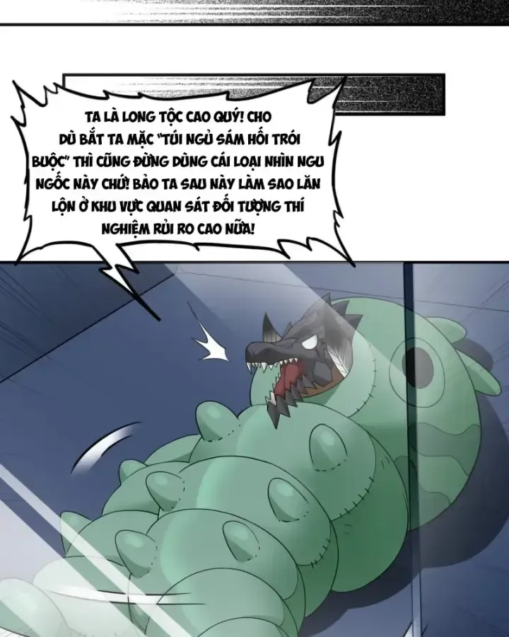 Luyện Kim Thuật Sĩ Tà Ác Không Trị Nổi Thể Thí Nghiệm Của Mình: Chapter 5