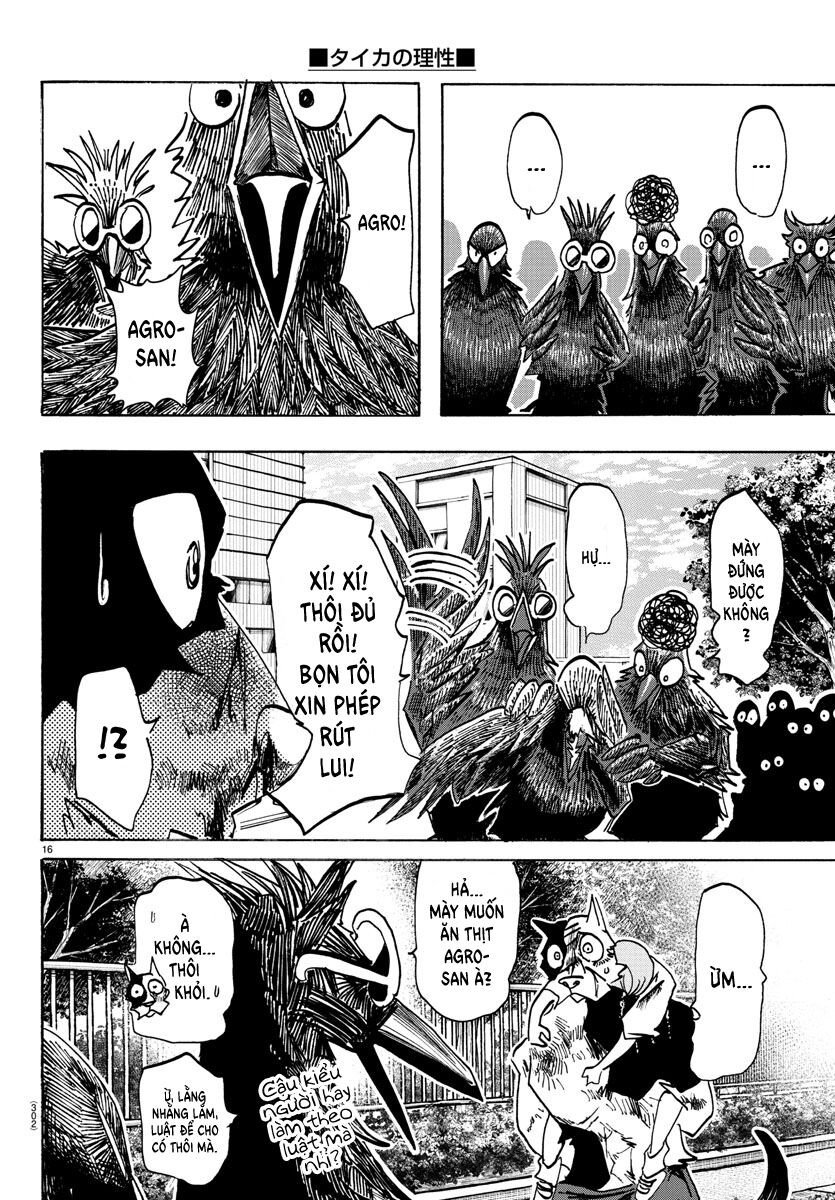 Lý Trí Của Taika: Chapter 17