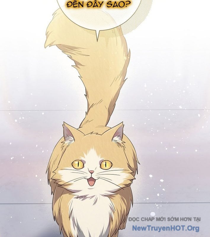 Ma Pháp Quân Chủ: Chapter 13