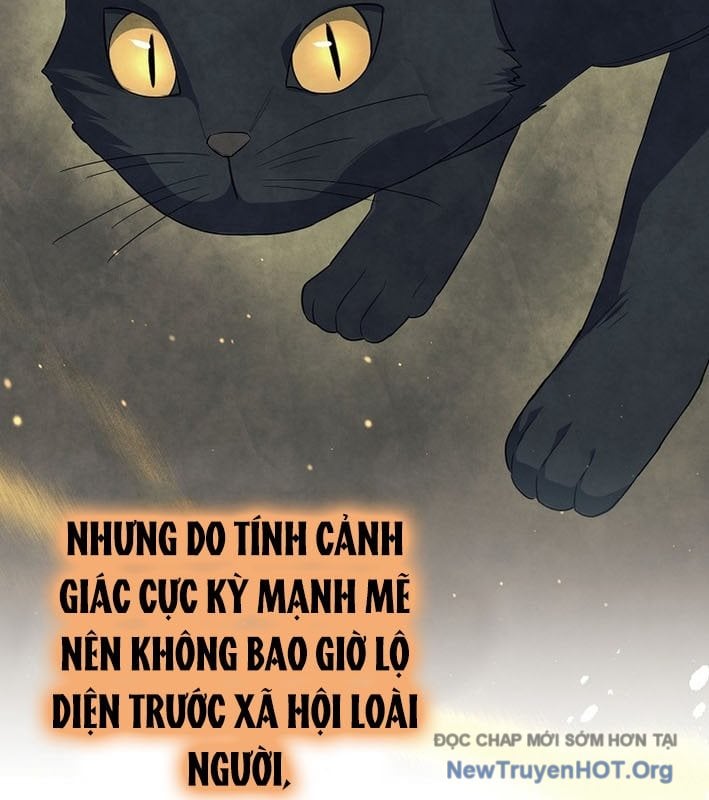 Ma Pháp Quân Chủ: Chapter 13