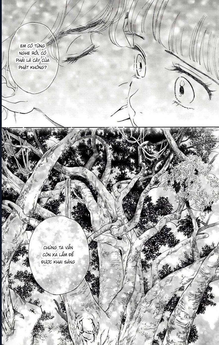 Madame Petit: Chapter 51
