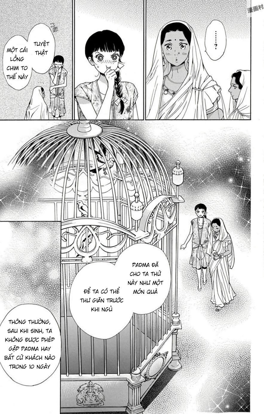 Madame Petit: Chapter 52