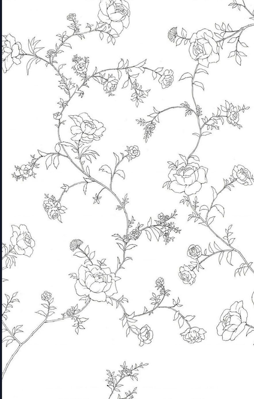 Madame Petit: Chapter 54