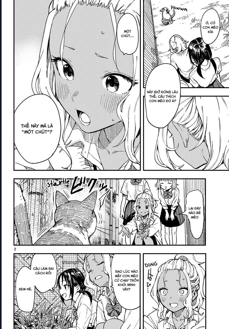 Mane Mane Nichi Nichi: Chapter 13