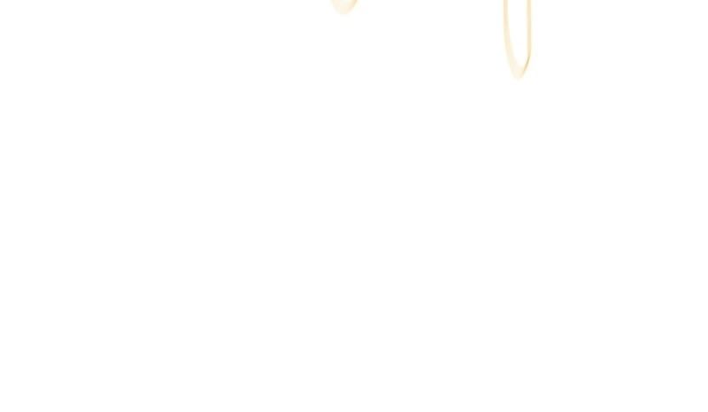 Mạo Hiểm Giả Carl: Chapter 2