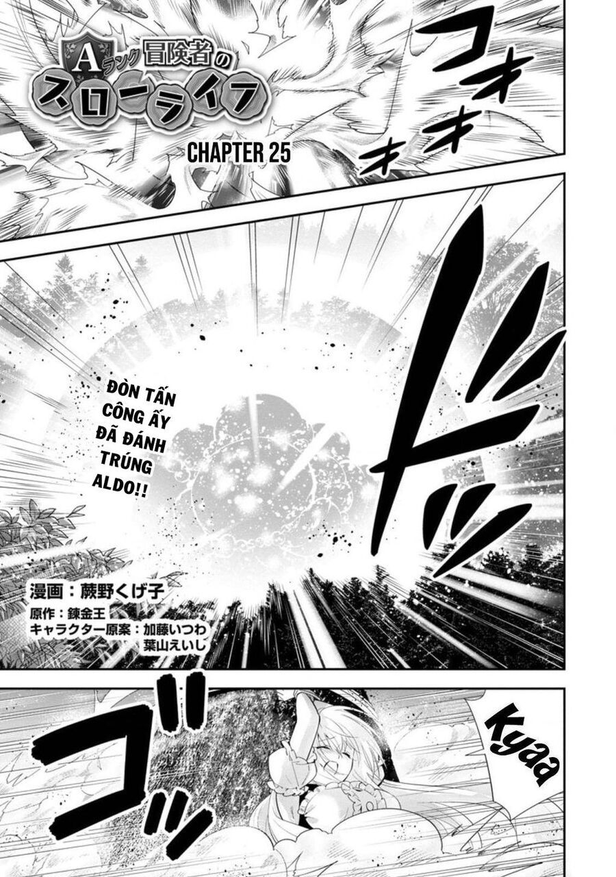 Mạo Hiểm Giả Hạng A Về Hưu Trồng Rau Nuôi Vợ: Chapter 25