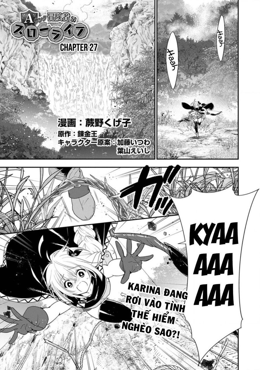 Mạo Hiểm Giả Hạng A Về Hưu Trồng Rau Nuôi Vợ: Chapter 27