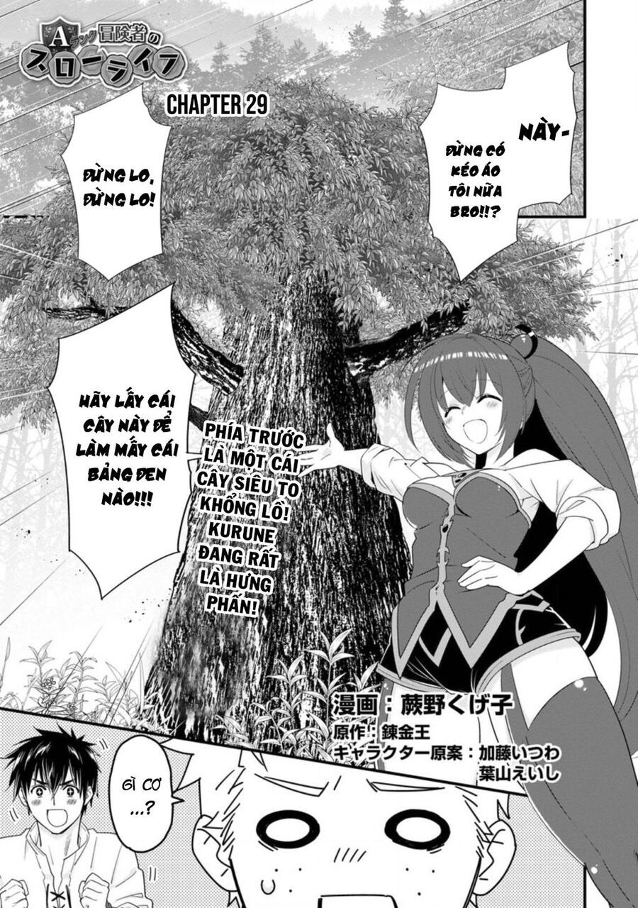 Mạo Hiểm Giả Hạng A Về Hưu Trồng Rau Nuôi Vợ: Chapter 29