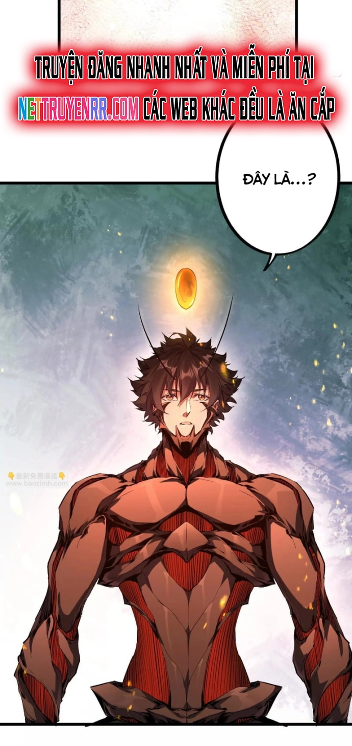 Mạt Thế Cẩu Sinh: Gián Giúp Ta Chồng Buff: Chapter 25