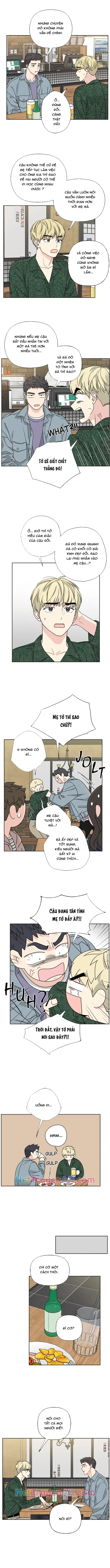 Mẹ Ơi, Con Xin Lỗi!: Chapter 42