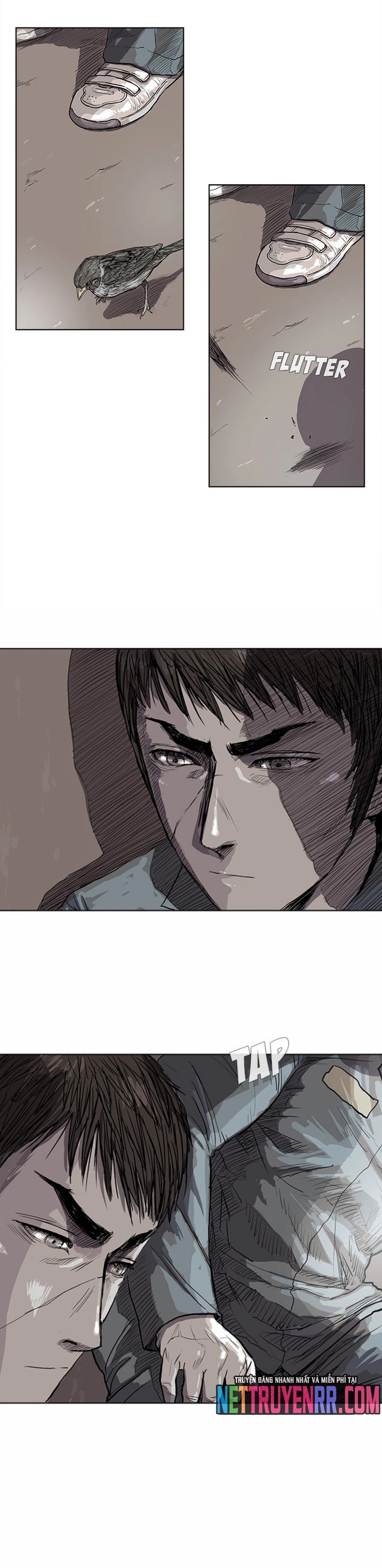 Miền Đất Xanh: Chapter 16