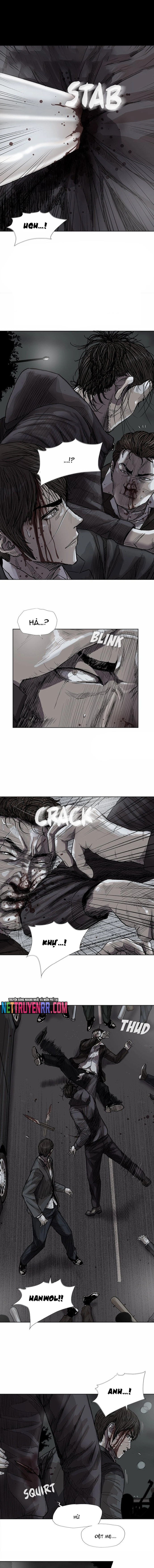 Miền Đất Xanh: Chapter 31