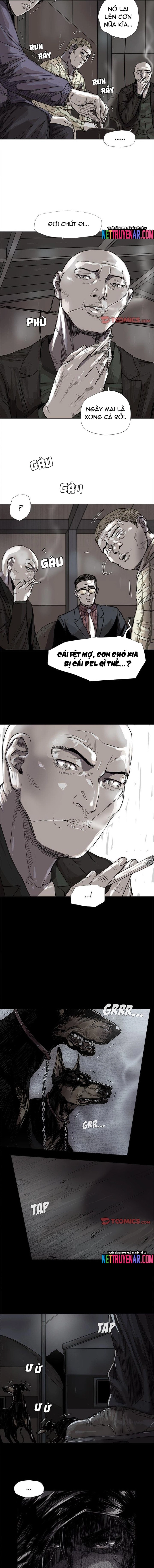 Miền Đất Xanh: Chapter 45