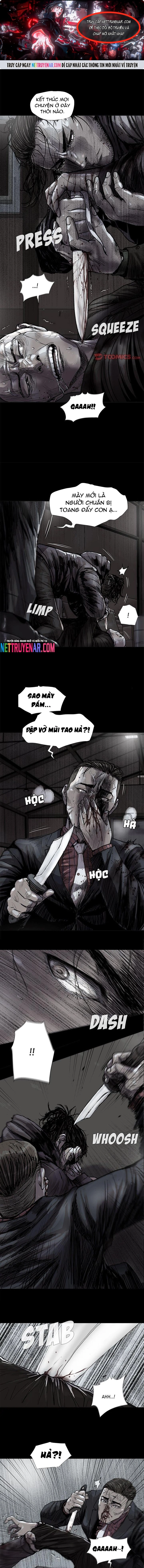 Miền Đất Xanh: Chapter 48